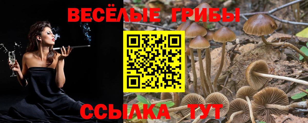 Галлюциногенные грибы Cubensis  Псилоцибиновые грибы Cubensis  Вятские Поляны  Вход с VPN 